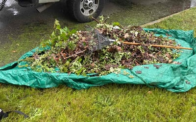 Photo of Amanda S.'s yard after getting landscaping in Akron, OH