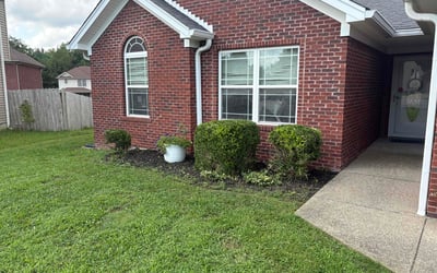 Photo of Stephanie A.'s yard after getting landscaping in Sellersburg, IN