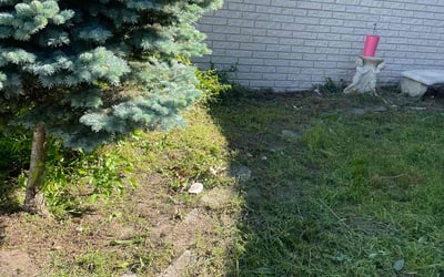 Photo of Stacy M.'s yard after getting landscaping in Waterford, MI