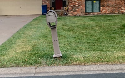 Photo of Roberto V.'s yard after getting landscaping in Elmwood, WI