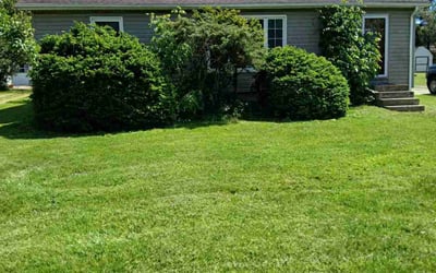 Photo of Ashley R.'s yard after getting landscaping in Strongsville, OH