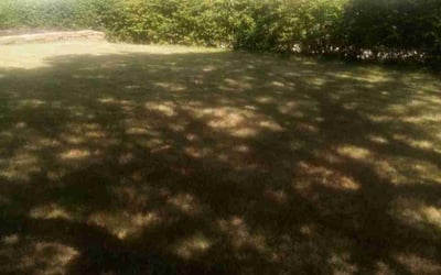 Photo of Kim G.'s yard after getting landscaping in Chesterland, OH