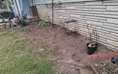 Photo of Debra C.'s yard after getting landscaping in Marshfield, MO