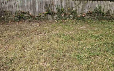 Photo of Nikki C.'s yard after getting landscaping in Remington, VA