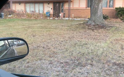 Photo of Sam M.'s yard after getting landscaping in Rogers, MN