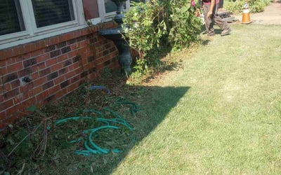 Photo of Carla L.'s yard after getting tree care in Memphis, TN