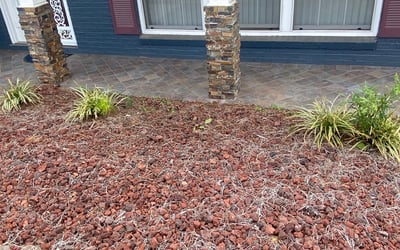 Photo of Mark S.'s yard after getting tree care in Jackson, GA
