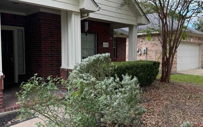 Photo of Jack E.'s yard after getting tree care in Conroe, TX