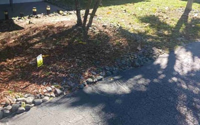 Photo of Christine B.'s yard after getting landscaping in Hallandale, FL