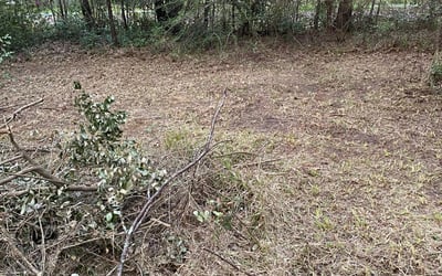 Photo of Kellie M.'s yard after getting tree care in Crawfordville, FL