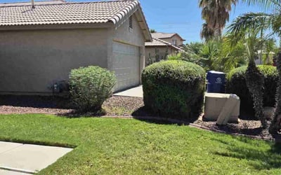 Photo of Jon B.'s yard after getting landscaping in Avondale, AZ