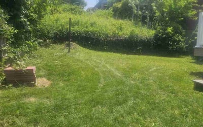 Photo of Nathaniel G.'s yard after getting landscaping in Pittsburgh, PA
