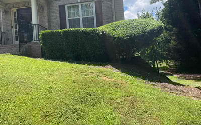 Photo of Klaire M.'s yard after getting tree care in Smyrna, GA