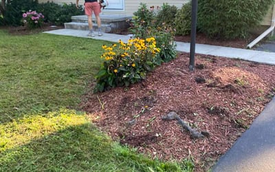 Photo of Michael S.'s yard after getting landscaping in Geneva, NY