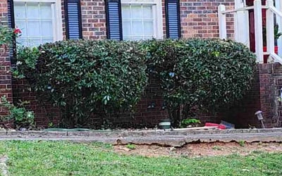 Photo of Michael H.'s yard after getting landscaping in Stone Mountain, GA