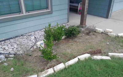 Photo of Steve C.'s yard after getting tree care in Southlake, TX