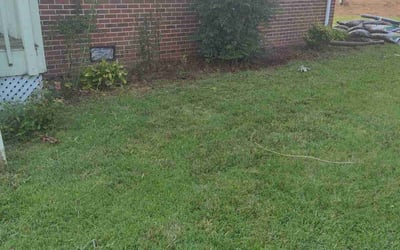 Photo of Marquis V.'s yard after getting lawn care in Colonial Heights, VA