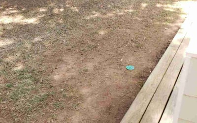 Photo of Nathan S.'s yard after getting landscaping in Madison, GA