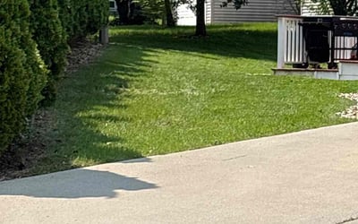 Photo of Matt B.'s yard after getting landscaping in Madison, WI