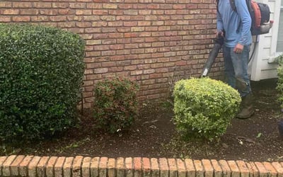 Photo of Maria j.'s yard after getting landscaping in Hull, TX