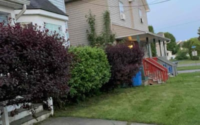 Photo of Kerri G.'s yard after getting landscaping in Geneva, NY