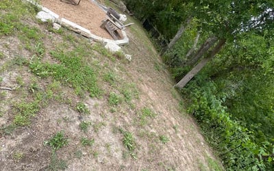 Photo of Michelle M.'s yard after getting landscaping in Leander, TX