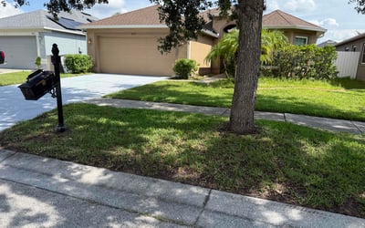Photo of Gayle G.'s yard after getting landscaping in Gibsonton, FL