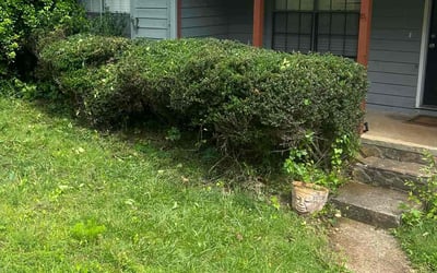 Photo of Thomas W.'s yard after getting landscaping in Duluth, GA