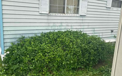 Photo of Bonnie B.'s yard after getting landscaping in Salem, NH