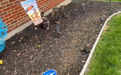 Photo of Stephen M.'s yard after getting landscaping in Rising Sun, IN