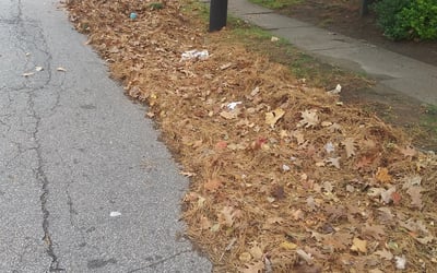Photo of Charles W.'s yard after getting landscaping in Columbia Station, OH