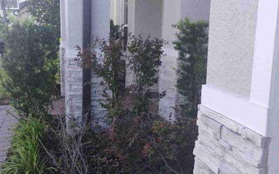 Photo of Chris K.'s yard after getting landscaping in Winter Park, FL