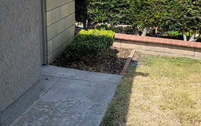 Photo of Steven S.'s yard after getting landscaping in Yorba Linda, CA