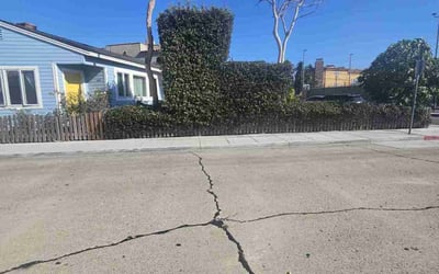 Photo of James G.'s yard after getting landscaping in Venice, CA