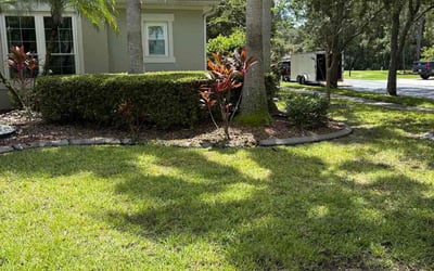 Photo of Ryan F.'s yard after getting tree care in Ocala, FL