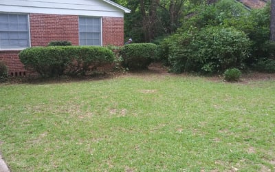 Photo of Melissa M.'s yard after getting landscaping in Greensboro, FL