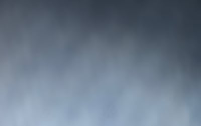 Photo of Vicki-Lynn H.'s yard after getting tree care in Purcellville, VA