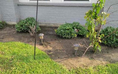 Photo of Amanda P.'s yard after getting landscaping in Barker, TX