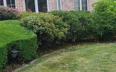 Photo of Charles P.'s yard after getting landscaping in Orland Park, IL