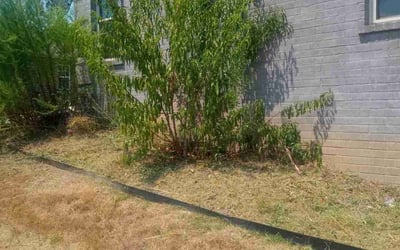 Photo of Janet W.'s yard after getting landscaping in Cabot, AR