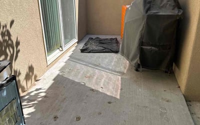 Photo of Penny R.'s yard after getting tree care in Albuquerque, NM