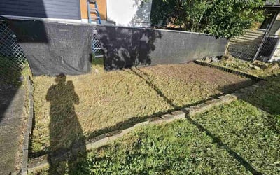 Photo of Loretta R.'s yard after getting landscaping in Seattle, WA