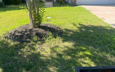 Photo of Tara C.'s yard after getting tree care in Columbia, SC