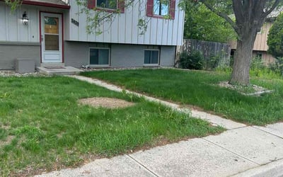 Photo of Amanda M.'s yard after getting landscaping in Manitou Springs, CO