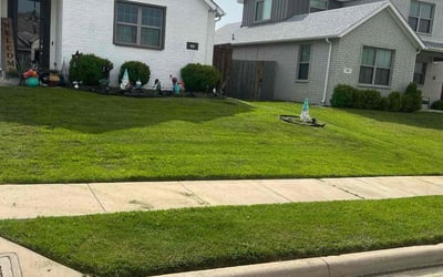 Photo of Tammy K.'s yard after getting landscaping in Sanger, TX