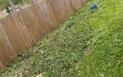 Photo of Robert F.'s yard after getting landscaping in Mooresville, IN