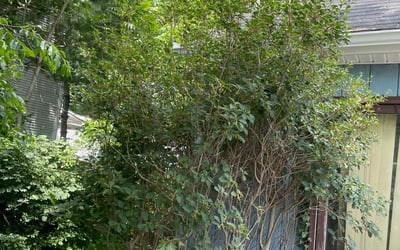 Photo of Keith H.'s yard after getting landscaping in Southbury, CT