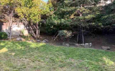 Photo of Joshua B.'s yard after getting lawn care in Brentwood, CA