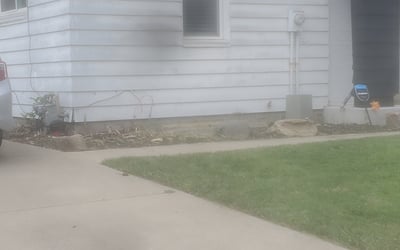 Photo of Barbara H.'s yard after getting tree care in Middletown, OH