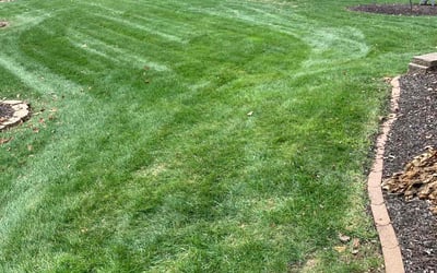Photo of Jennifer A.'s yard after getting landscaping in Paola, KS